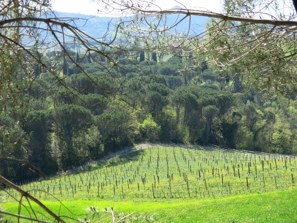 Agriturismo Il Palagetto Pomarance Dış mekan fotoğraf