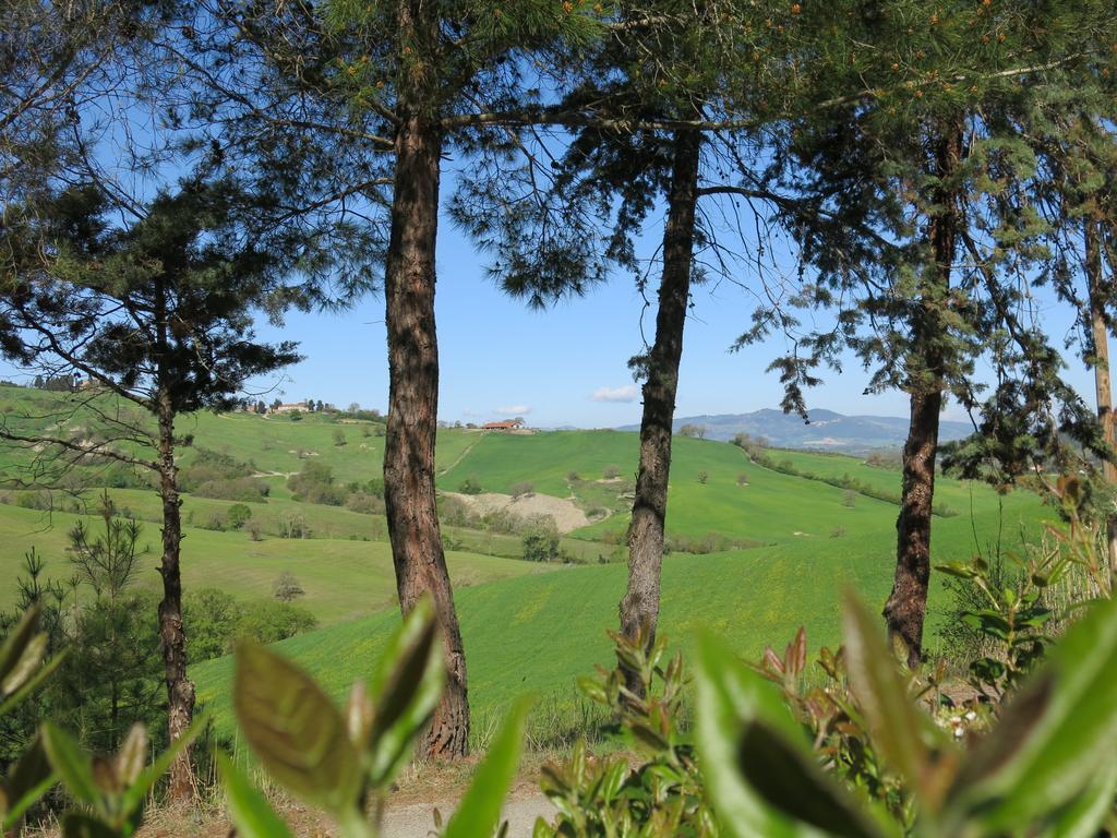 Agriturismo Il Palagetto Pomarance Dış mekan fotoğraf
